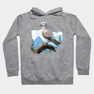 Collared Dove Hoodie